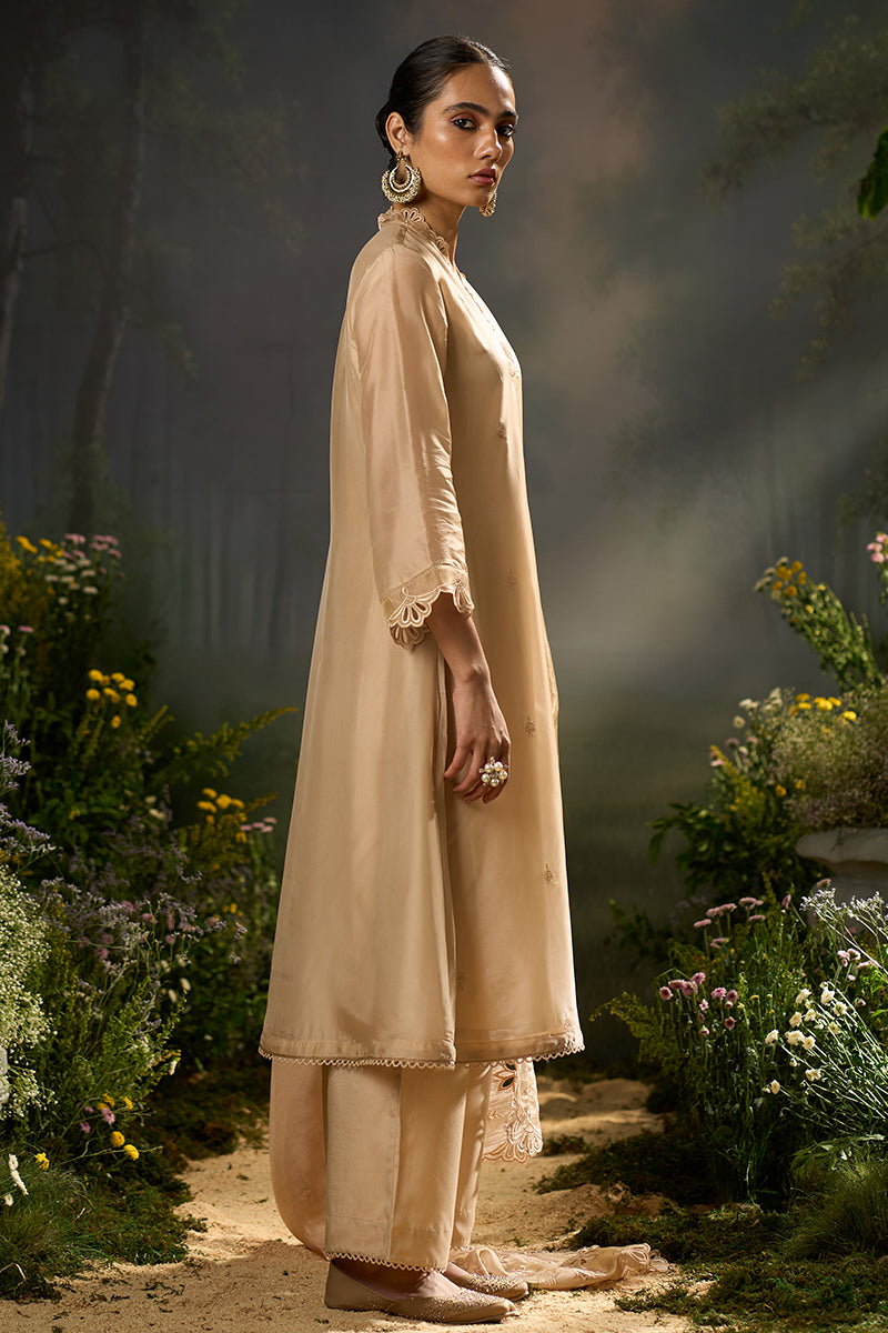 Brazilian Sand Festive Kurta Set