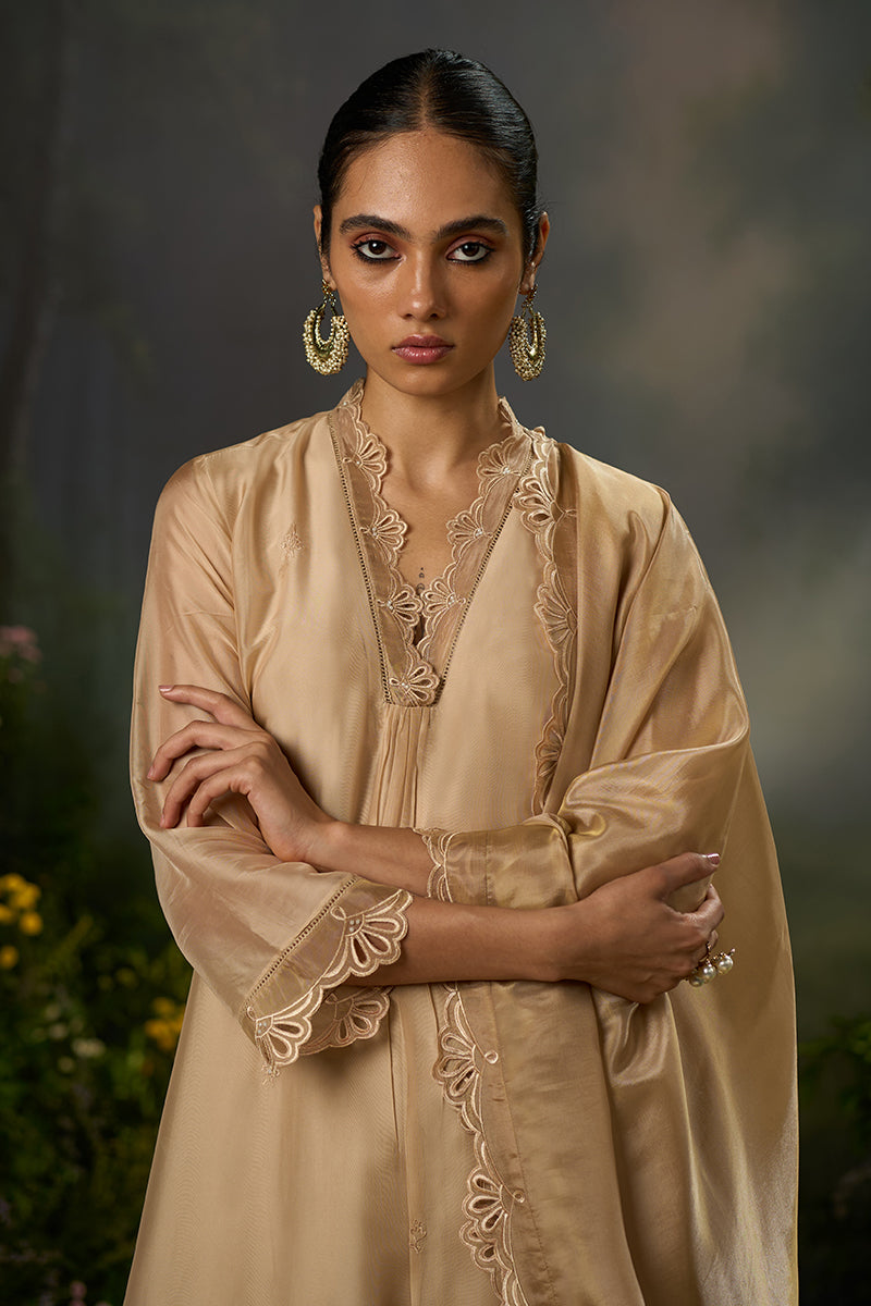 Brazilian Sand Festive Kurta Set