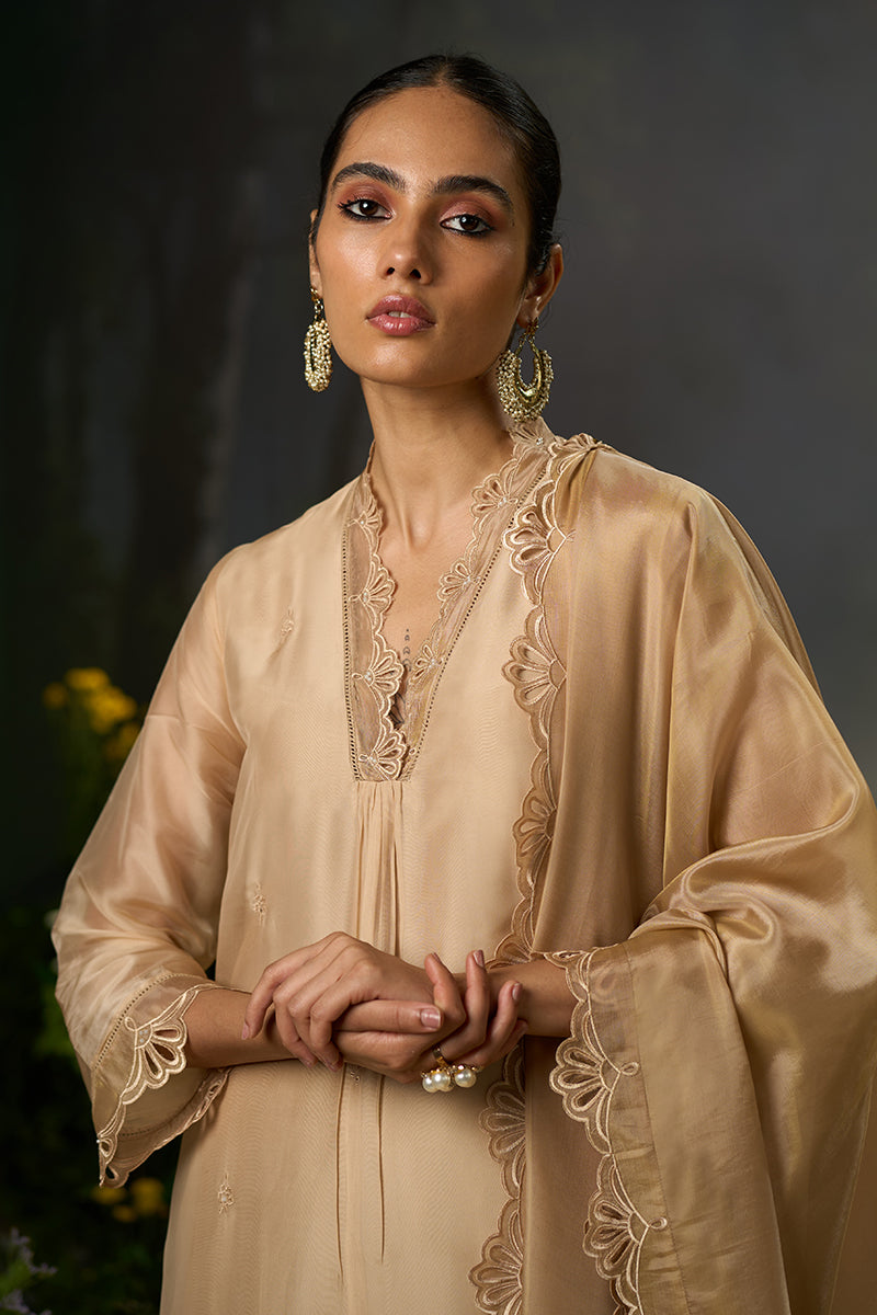 Brazilian Sand Festive Kurta Set