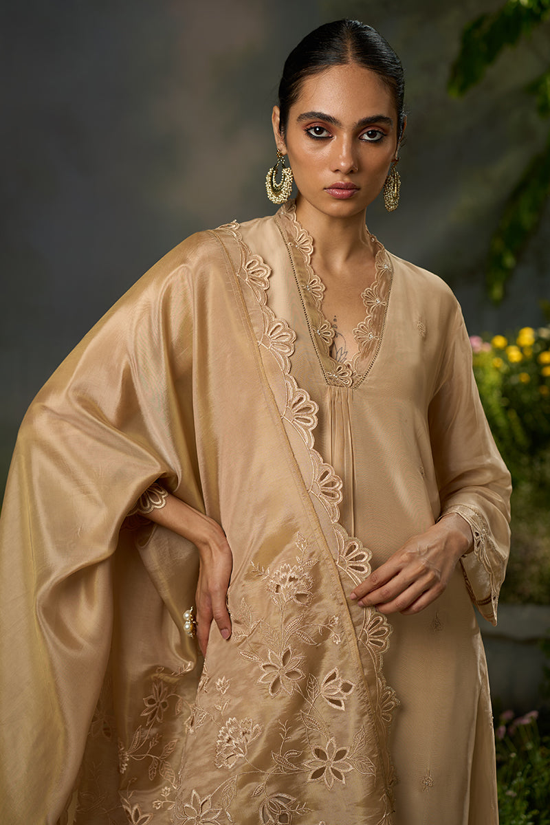 Brazilian Sand Festive Kurta Set