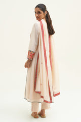 Dew Beige Salwar Suit with Patola Patch Work