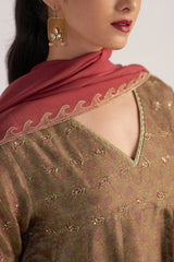 Lark Beige and Dull Maroon Tissue Print Kurta Set