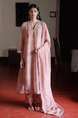 Light Mahogany Tissue Silk Salwar Suit