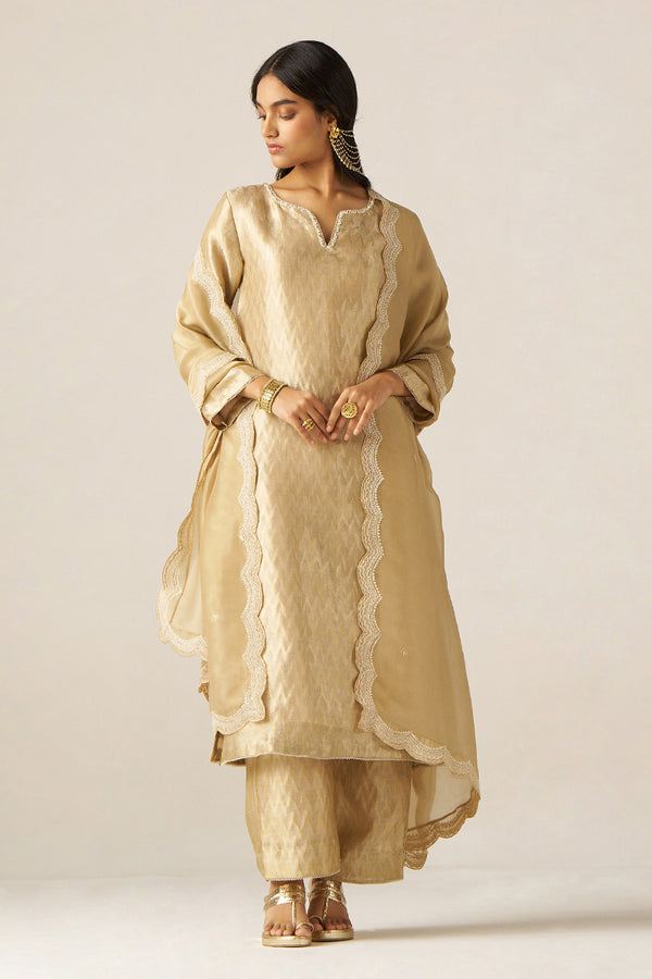 Fog Beige and Golden Woven Tissue Festive Kurta Set