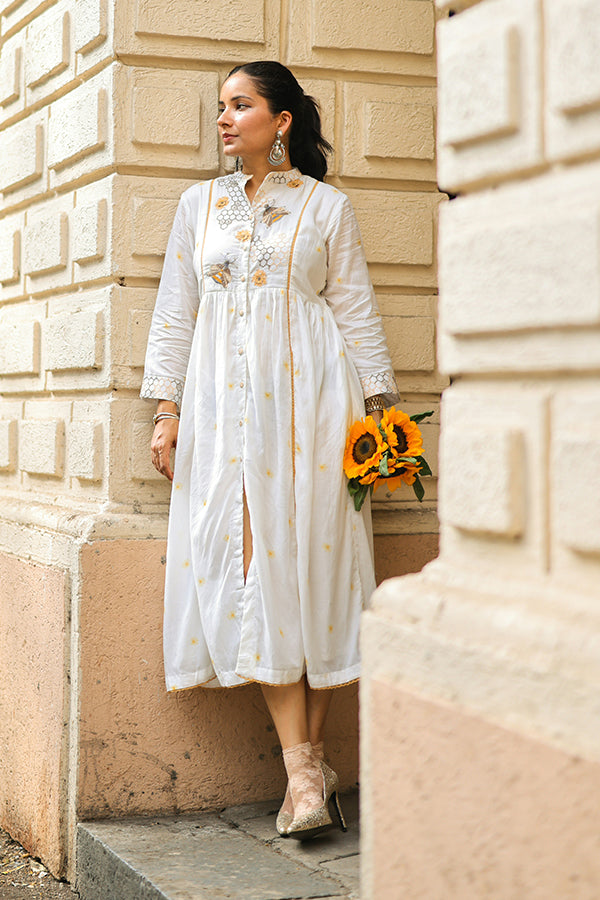 Ashi Sethi