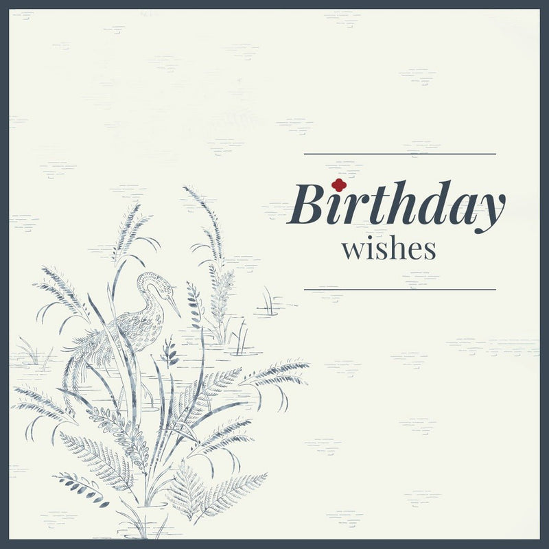 Send Birthday Wishes
